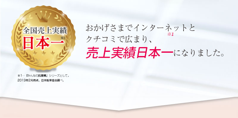 売上実績日本一！
