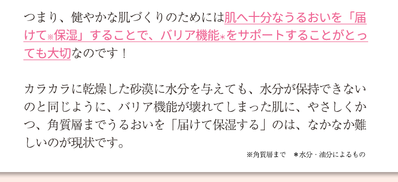 つまり、健やかな肌づくりのためには肌へ十分なうるおいを「届けて保湿」することで、バリア機能をサポートすることがとっても大切なのです！