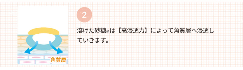 溶けた砂糖※は【高浸透力】によって角質層へ浸透していきます。