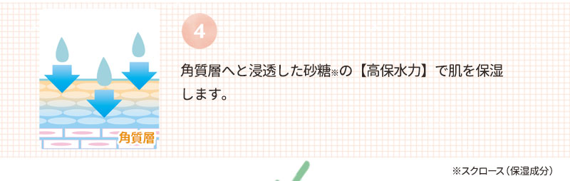 角質層へと浸透した砂糖※の【高保水力】で肌を保湿します。