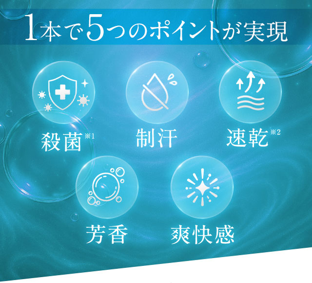 1本で5つのポイントが実現